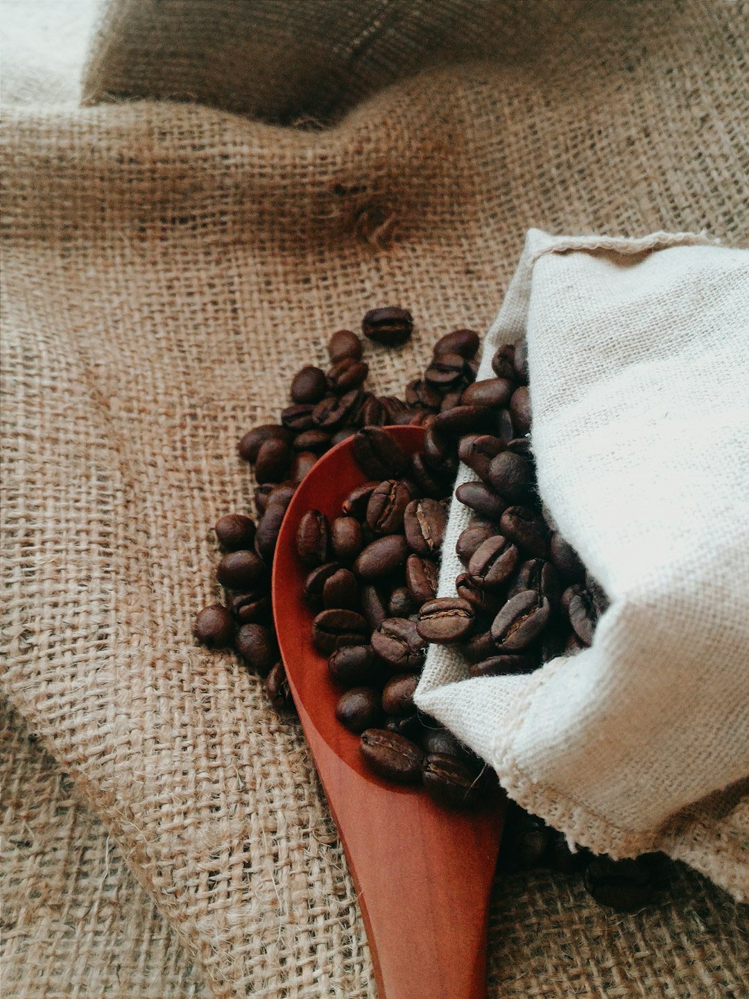 Coffee Tasting 101: A Beginner's Guide - KXX